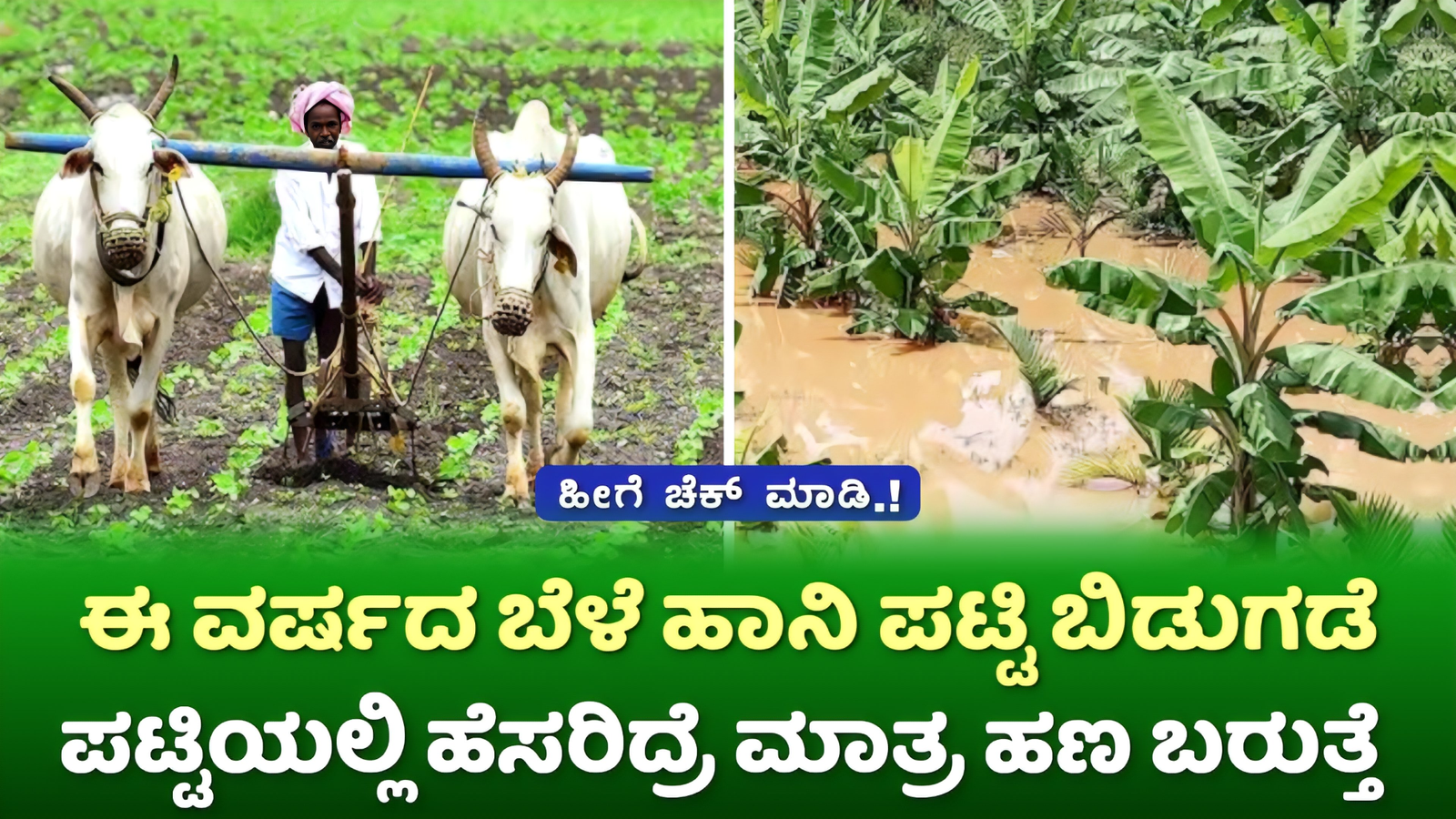 Crop Damage Formers List 2024: ಬೆಳೆ ಹಾನಿಯಾದ ರೈತರುಗಳ ಪಟ್ಟಿಯನ್ನು ಬಿಡುಗಡೆ ಮಾಡಲಾಗಿದೆ.! ಈ ಪಟ್ಟಿಯಲ್ಲಿ ಹೆಸರಿದ್ರೆ ಮಾತ್ರ ಹಣ ಬರುತ್ತೆ.! ನಿಮ್ಮ ಹೆಸರು ಇದೆಯಾ ಎಂದು ಹೀಗೆ ಚೆಕ್ ಮಾಡಿ.!